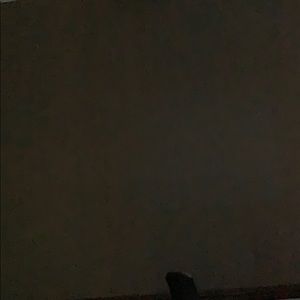 Meet your Posher, Charity